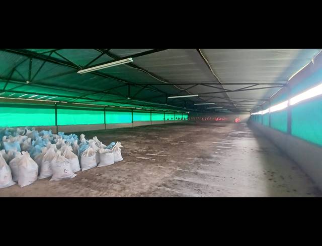 12,500M² FARM TO LET IN NELSONIA